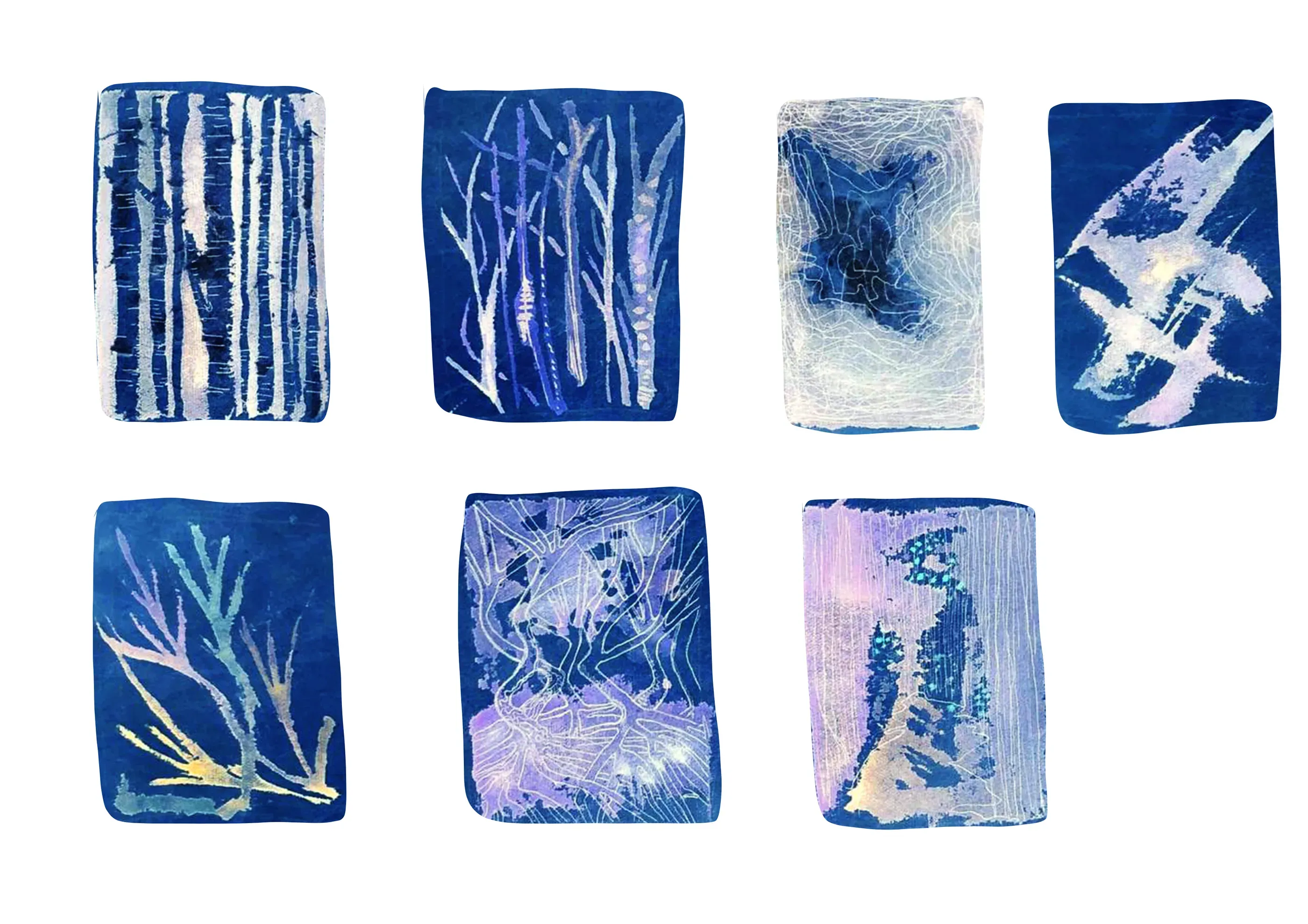 Cyanotype pattern studies of birch trees and foliage